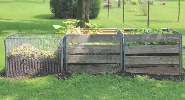 Jak nawozić kompostem: 7 skutecznych metod dla ogrodu