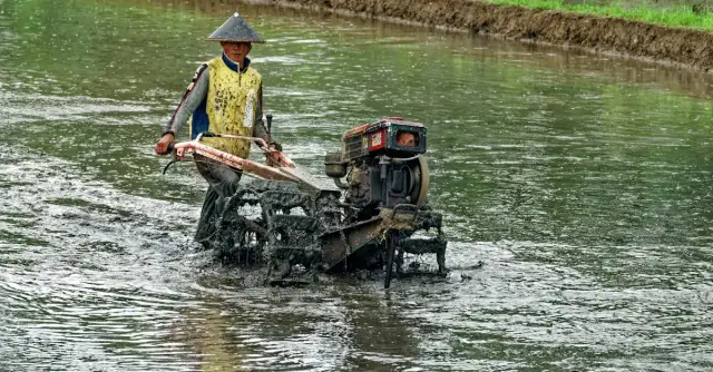 Ciągniki Dutra: Jakie są najnowsze informacje i opinie użytkowników?