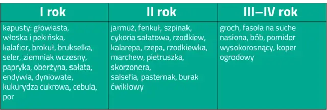 Kiedy kompost pod warzywa? Kluczowe terminy i skuteczne metody zastosowania