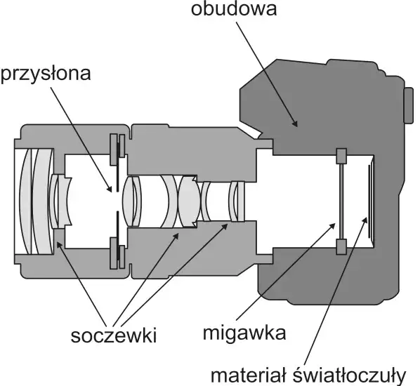 Jak oko fotografa widzi świat? Fascynujące porównanie obiektywów i wzroku