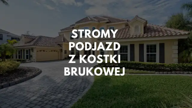 Czym wyłożyć stromy podjazd, aby uniknąć problemów z bezpieczeństwem?