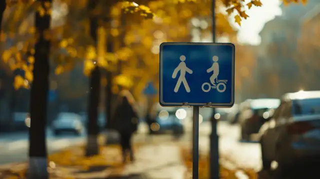 Co oznacza znak strefa ruchu i jakie są przepisy dotyczące tej strefy?