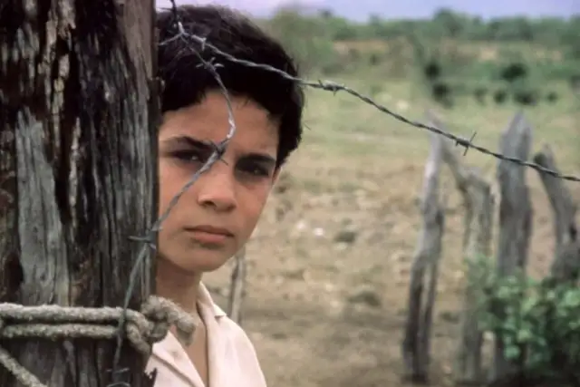 Miasto Boga i inne arcydzieła: dlaczego warto zagłębić się w brazylijską kinematografię