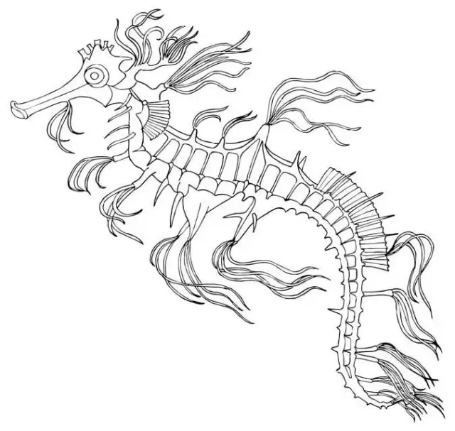 Kolorowanki konik morski – rozwijaj kreatywność i radość dzieci