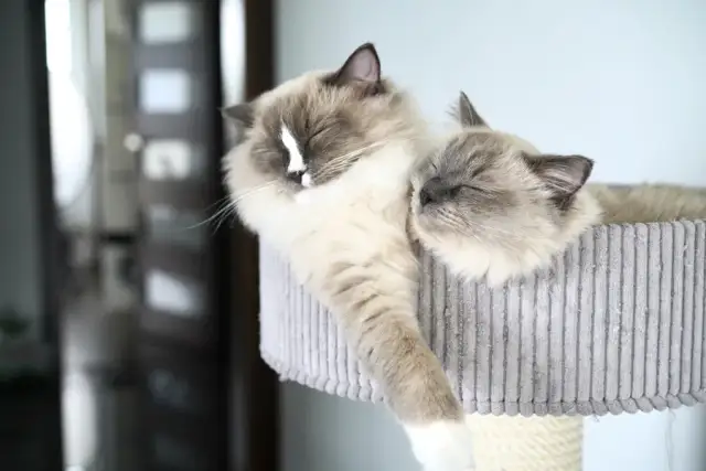 Jak znaleźć motywację do nauki i osiągnąć lepsze wyniki