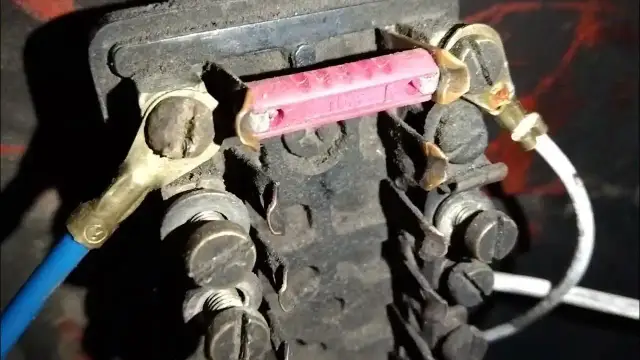 Wybór wiązki elektrycznej T25 – uniknij kosztownych błędów przy zakupie