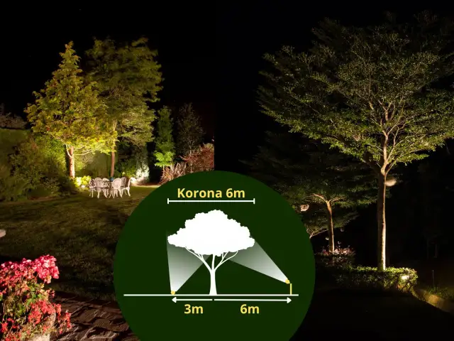 Jak podświetlić drzewo w ogrodzie – efektywne metody i najlepsze lampy