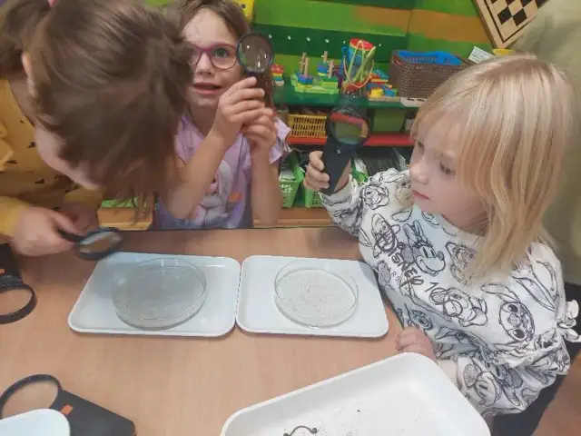 Zajęcia terenowe z biologii karta pracy – skuteczne materiały edukacyjne