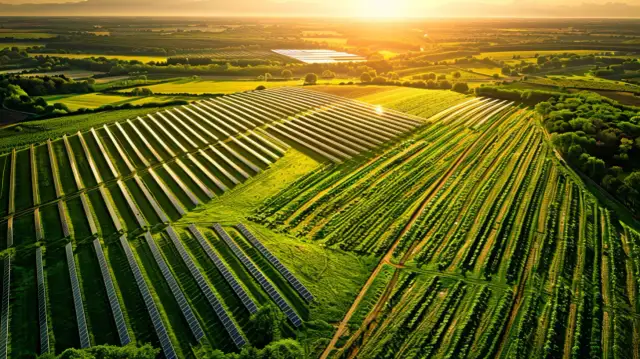 Farmy fotowoltaiczne w Polsce – Największe i najważniejsze instalacje