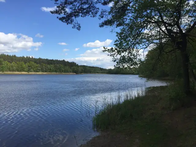 Zezwolenie na wędkowanie w jeziorze Tuczno - poznaj koszty i zasady