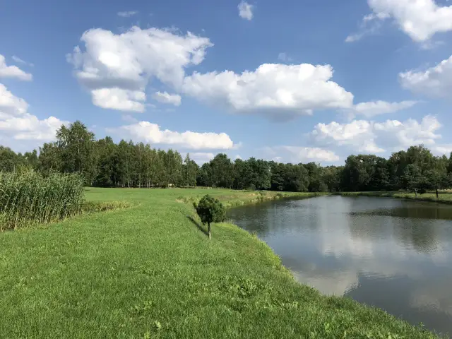 Łowisko Musuły – idealne miejsce na wędkowanie i relaks w naturze
