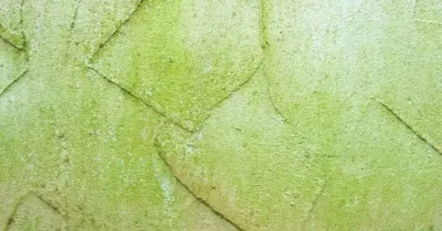 Skuteczne sposoby jak usunąć glony z elewacji budynku w 3 prostych krokach