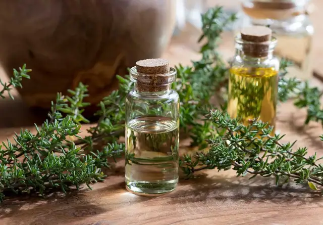 Jak zrobić olejek tymiankowy w domu – prosty przepis i korzyści dla zdrowia