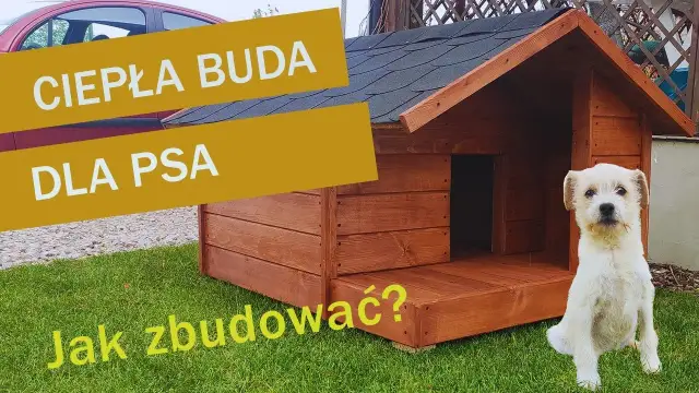 Jak zbudować budę dla psa - proste kroki dla idealnego miejsca