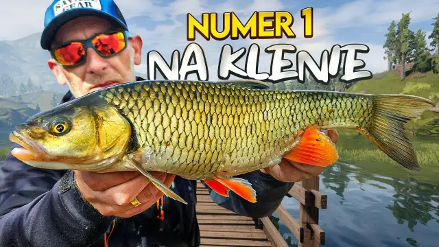 Najlepsze przynęty na klenia spinning - skuteczne metody łowienia