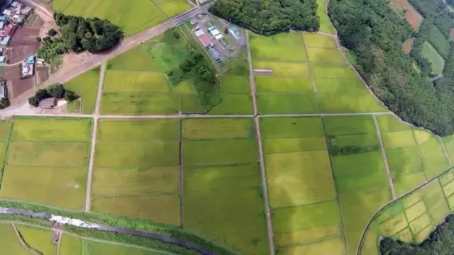 Kredyt hipoteczny na działkę rolną: warunki i możliwości zakupu