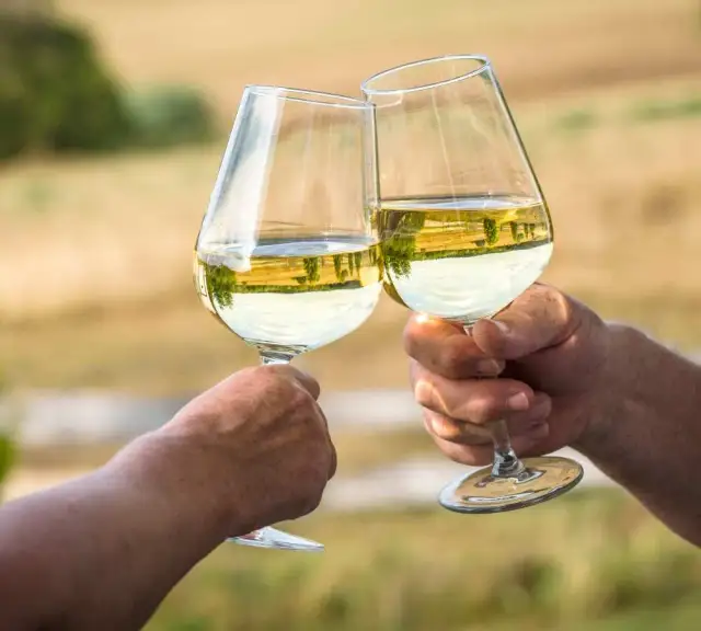 Czy przy stomii można pić alkohol - kompletny poradnik dla pacjentów