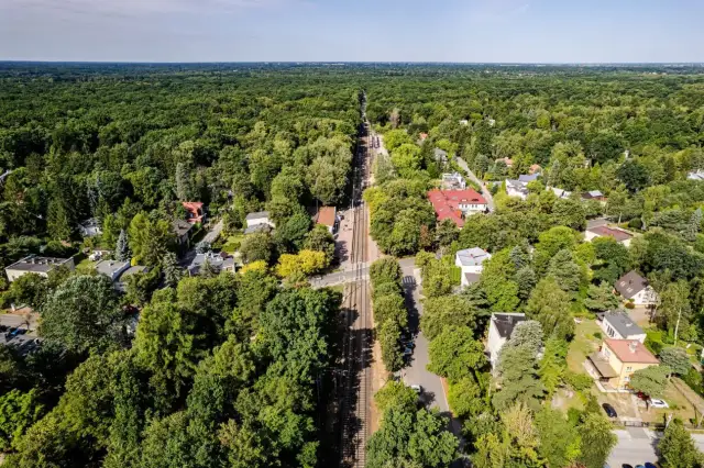 Najciekawsze atrakcje w Podkowie Leśnej, które musisz zobaczyć