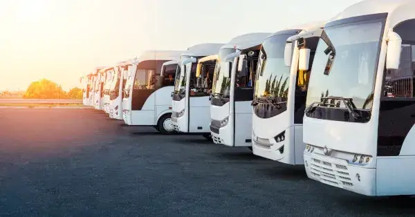 Wynajem busa na wesele – na co zwrócić uwagę?