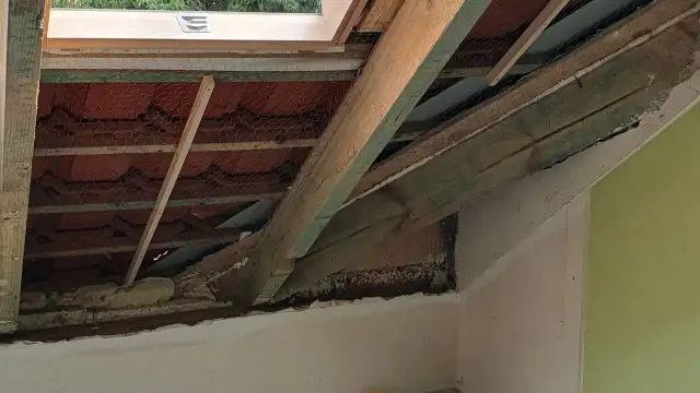 Jak zabezpieczyć dach przed kunami i uniknąć kosztownych napraw