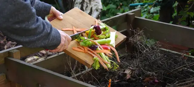 Kompost kiedy rozrzucać: najlepsze terminy i metody aplikacji w ogrodzie
