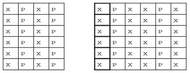 Jakie odmiany jagody kamczackiej sadzić obok siebie dla lepszych plonów