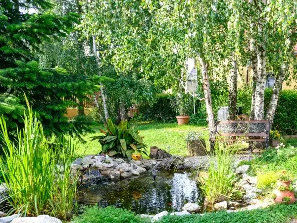 Co posadzić na podmokłym terenie, aby uniknąć problemów z wilgocią?