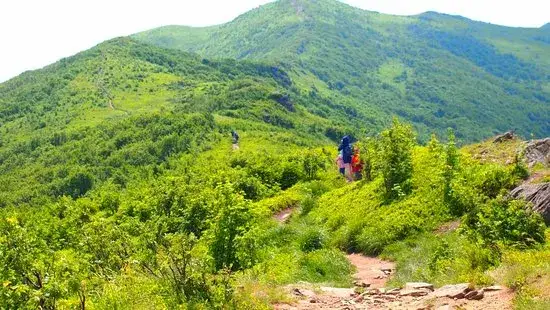 Ustrzyki Górne gdzie zjeść – najlepsze restauracje, które musisz znać