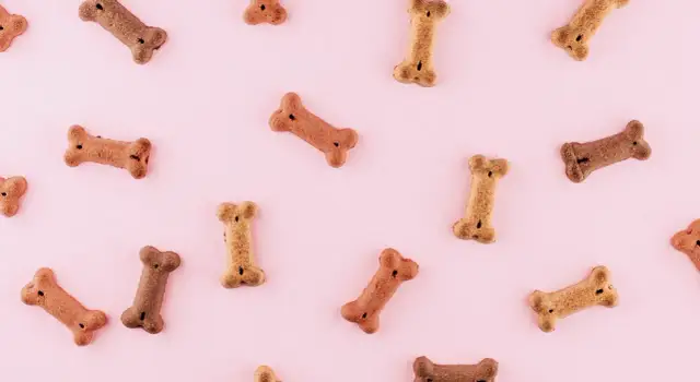 Jak zrobić przekąski dla psa, które zachwycą Twojego pupila