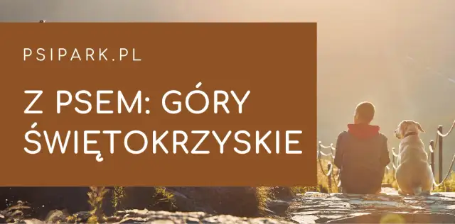 Gdzie z psem w Świętokrzyskim? Najlepsze trasy i miejsca dla psów