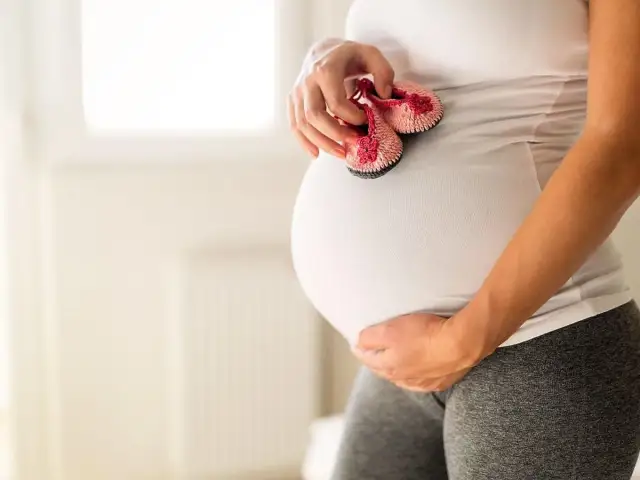 Czy bostonka jest groźna dla kobiet w ciąży? Ryzyko i zalecenia dla ciężarnych