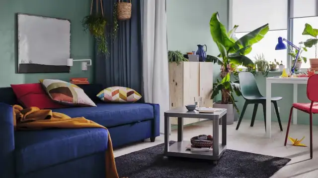 Jaki kwiat do salonu? Oto rośliny, które odmienią Twoje wnętrze