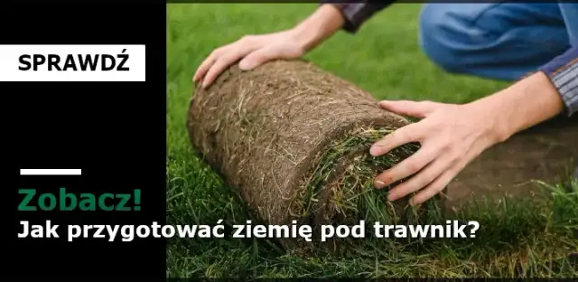 Jak przygotować ziemię pod trawnik, aby uniknąć błędów i cieszyć się pięknem trawy