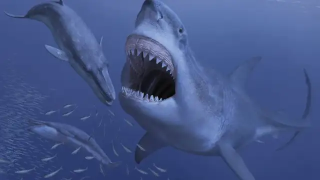 Megalodon 2017: Prehistoryczny Rekin Powraca na Ekrany Kin