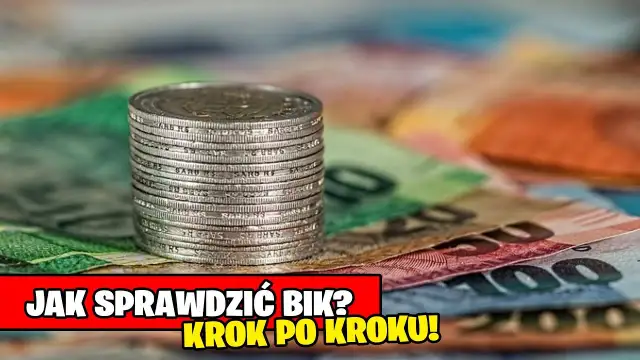 Jak szybko i skutecznie sprawdzić swoje zadłużenie w BIK – krok po kroku