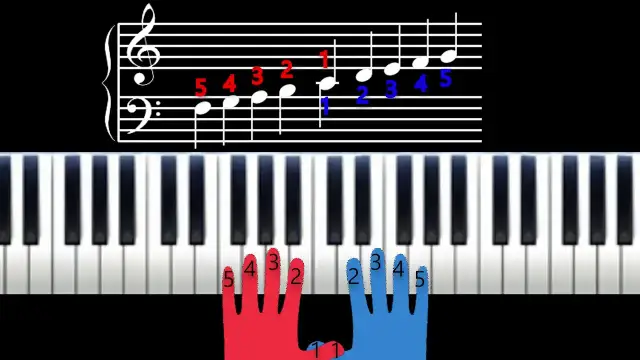 Jak zagrać wlazł kotek na różnych instrumentach - proste nuty i porady