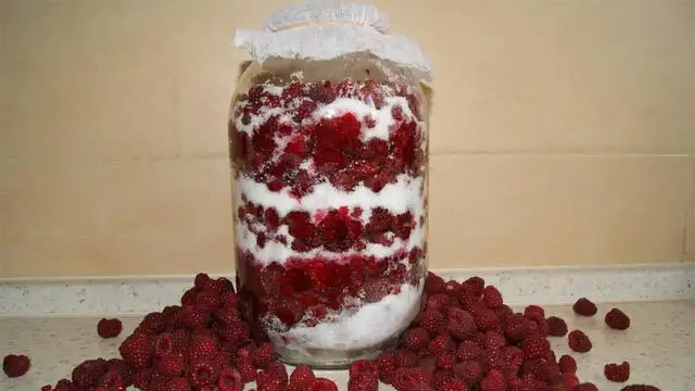 Jak zrobić nalewkę z soku malinowego – prosty przepis i porady dla początkujących