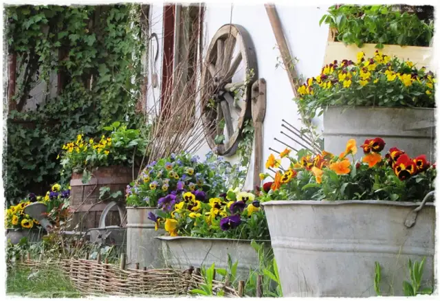 Kreatywne sposoby jak wykorzystać stare garnki w ogrodzie: pomysły i porady