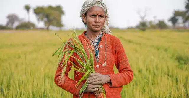 Zrównoważone rolnictwo: Co to jest, jakie korzyści przynosi i jak je wdrożyć?