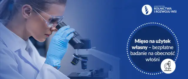 Ile kosztuje badanie mięsa u weterynarza? Sprawdź aktualne ceny i zasady