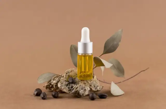 Jak zrobić odświeżacz powietrza z olejku eterycznego – proste sposoby na świeżość w domu