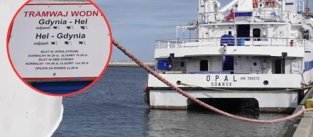 Jak dojadę Gdynia Hel? Wszystkie opcje transportu, rozkłady i ceny biletów