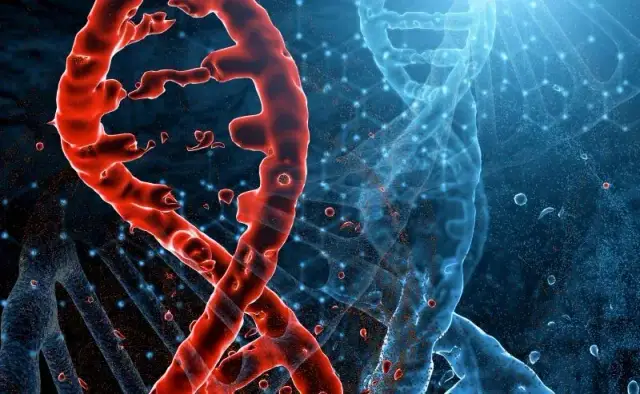 Genetyka na dużym ekranie: Jak nauka inspiruje Hollywood