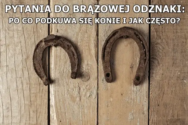 Dlaczego podkuwa się konie? Odkryj korzyści i zagrożenia dla kopyt