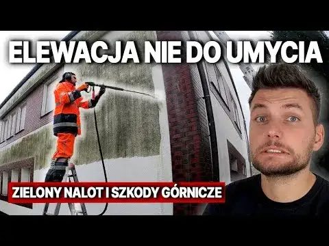 Jak skutecznie usunąć zielony nalot z elewacji – sprawdzone metody i porady