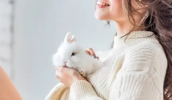 Czy królik w domu śmierdzi? Sprawdź, jak uniknąć nieprzyjemnych zapachów