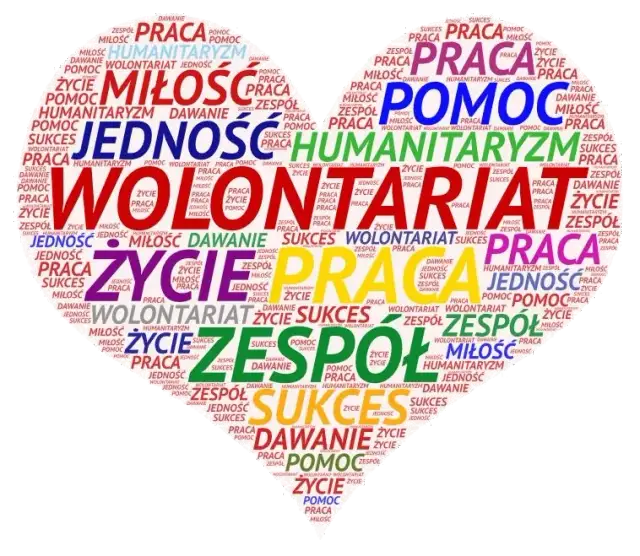 7 najważniejszych cech wolontariusza - jakie są i jak je rozwinąć?