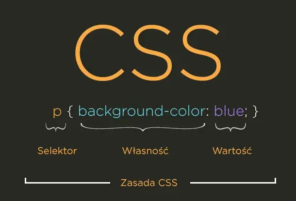 Co to jest HTML i CSS? Zrozum podstawy i uniknij błędów w web designie