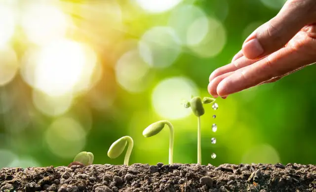 Czym się sugerować przy wyborze agrotkaniny? Sprawdź porady od sklepu ogrodniczego eGarden.pl