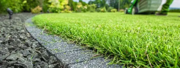 Jak oddzielić trawnik od kamieni - skuteczne metody i porady